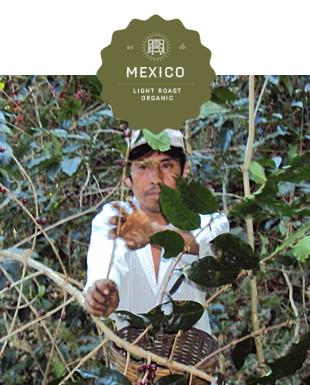 Mexico Chiapas Siltepec Organic